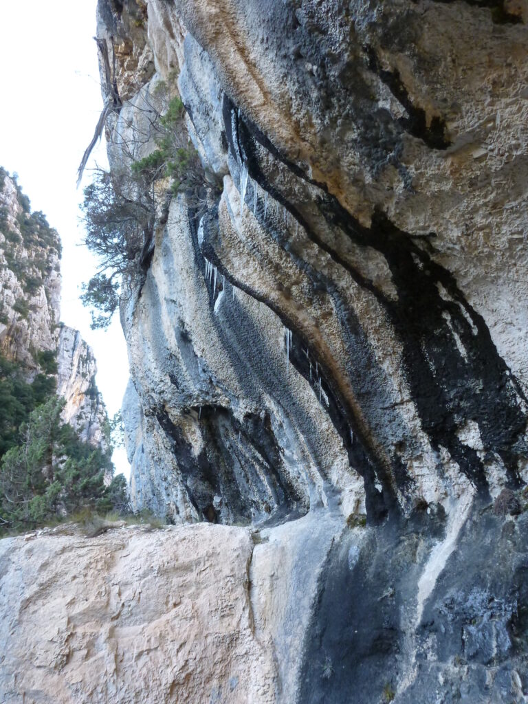 Gorges du Verdon géologie