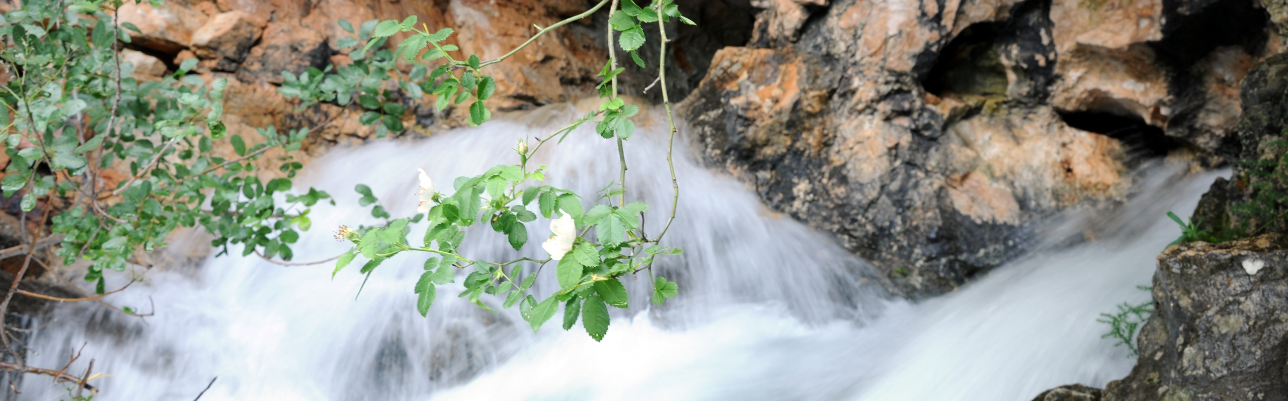 Reserve de Saint Maurin