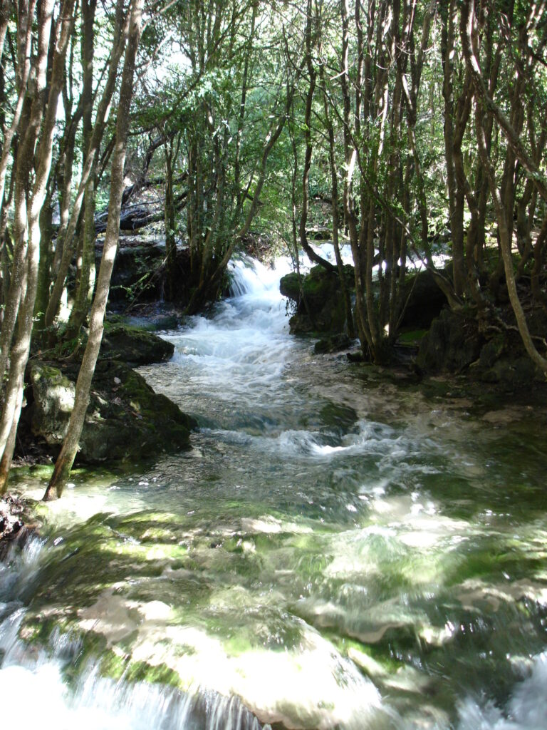 Réserve naturelle régionale de Saint Maurin