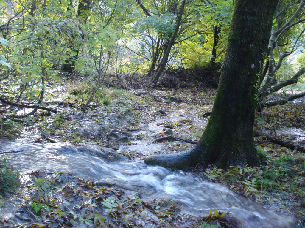 Parc naturel régional du Verdon