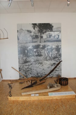 Le pastoralisme à La Palud sur Verdon