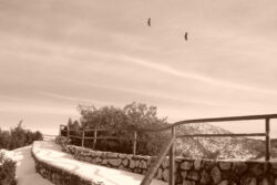 Route des Crêtes en hiver