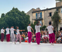 Maison des Gorges Spectacle mosaïque 2024