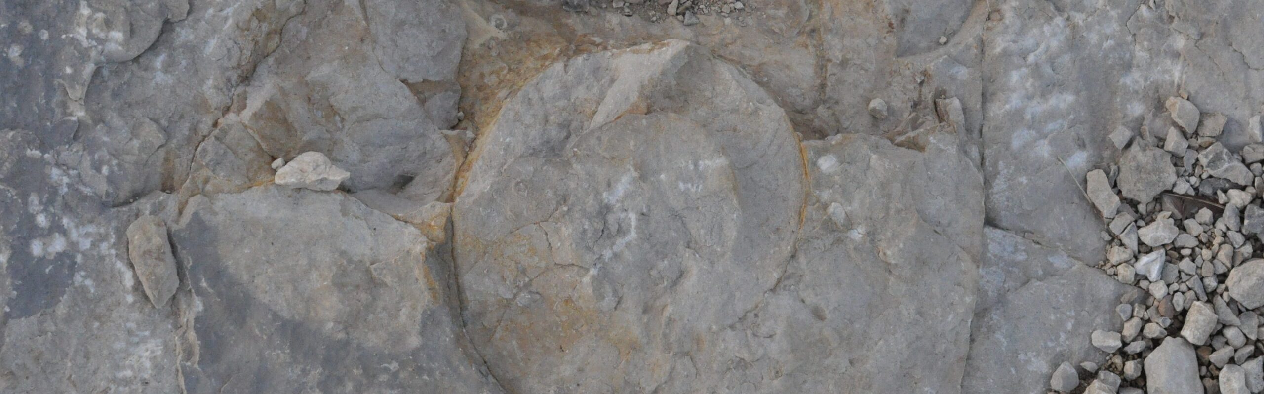 Geologie Gorges du Verdon
